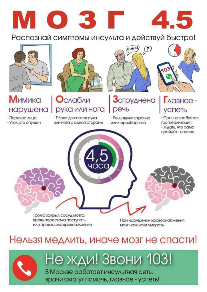 мозг.jpg